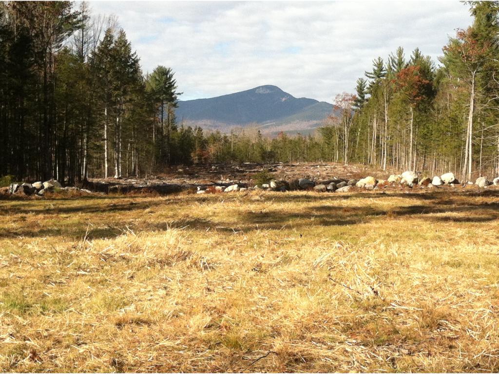 338 Quaker-Whiteface Road Sandwich, NH 03259 - Photo 5 of 21