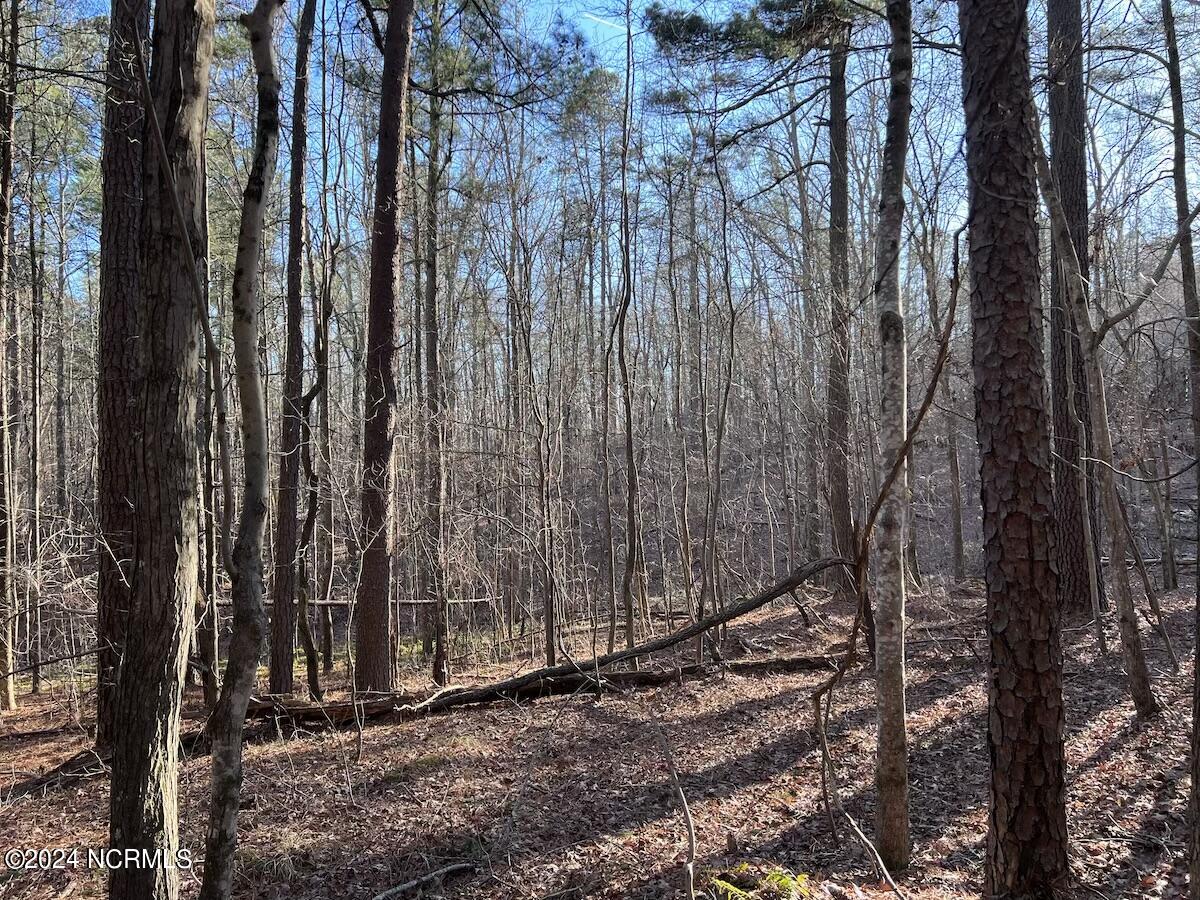 1296 Moriah Road Rougemont, NC 27572 - Photo 46 of 57 47