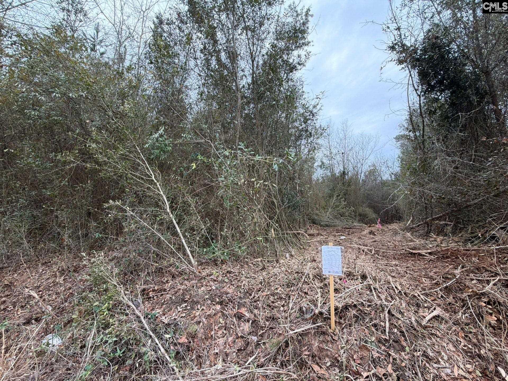 2 Jc Barefoot Road, Unit BFF II 2 Patrick, SC 29584 - Photo 3 of 13