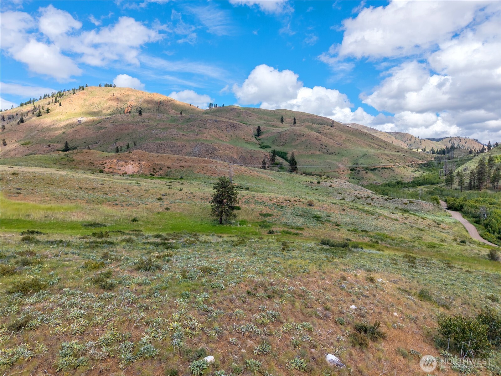-tbd Bear Creek Road Winthrop, WA 98862 - Photo 15 of 30