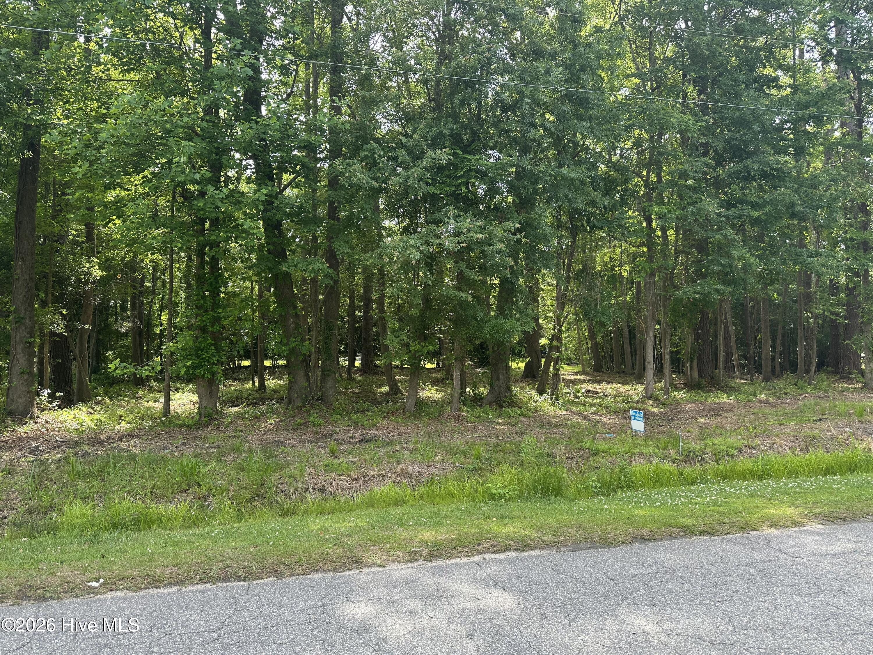 628 Blue Jean Road Whiteville, NC 28472 - Photo 1 of 6 IMG_3728