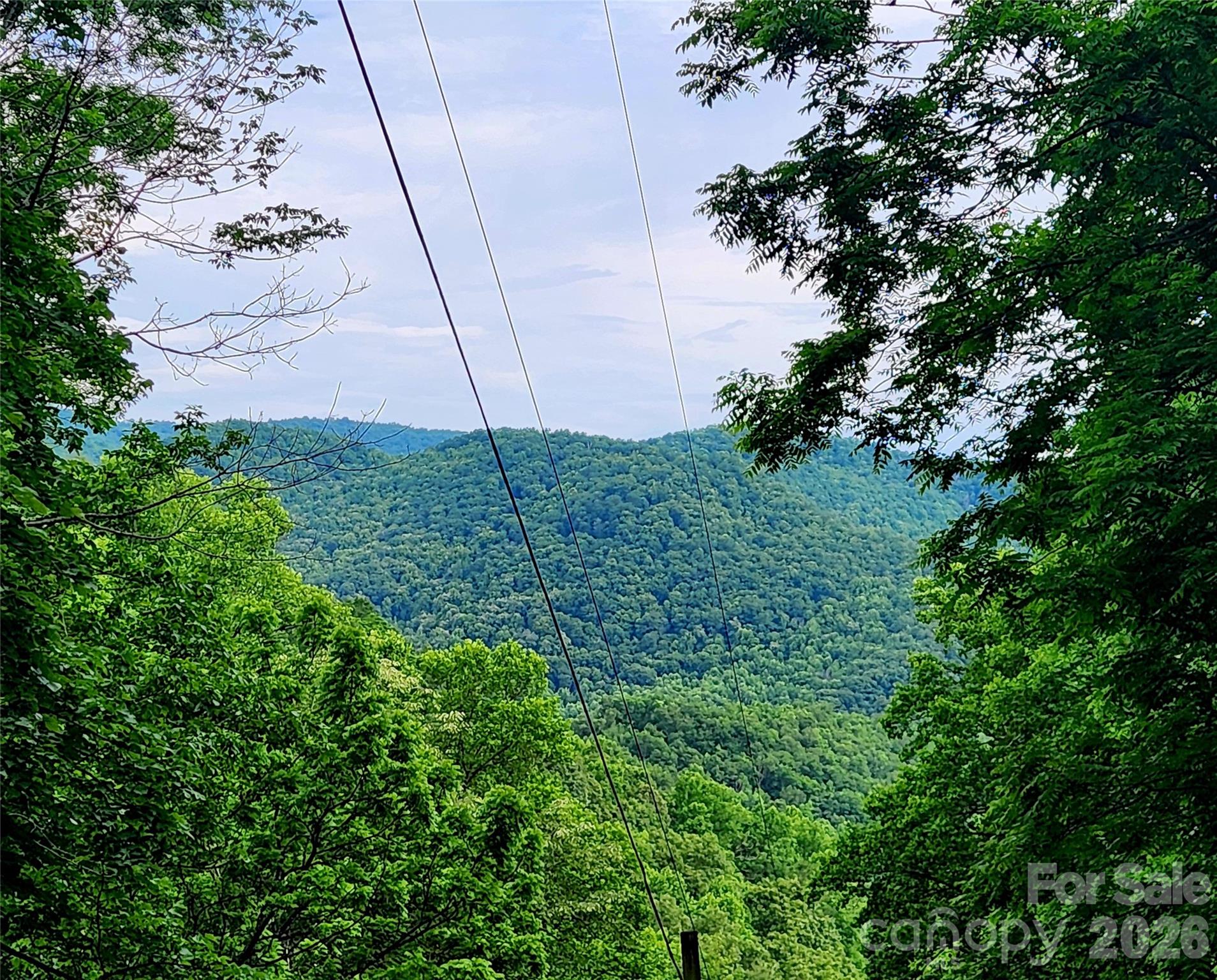 0 Brasstown Road Cullowhee, NC 28723 - Photo 29 of 37 Gallery Image 29
