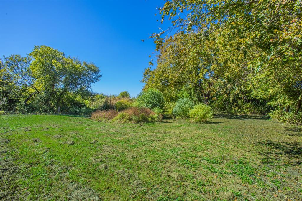 4930 Spring Valley Road Lorena, TX 76655 - Photo 29 of 34 Expansive green space with mature trees and varied foliage