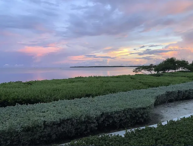 a view of a swimming pool with an outdoor seating