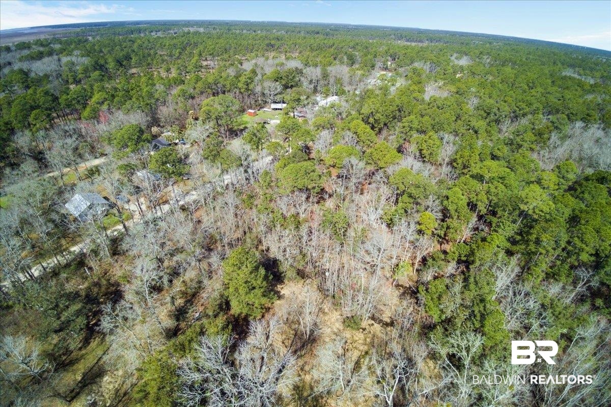 16045 Williams Street Coden, AL 36523 - Photo 11 of 15 Aerial view featuring a view of trees