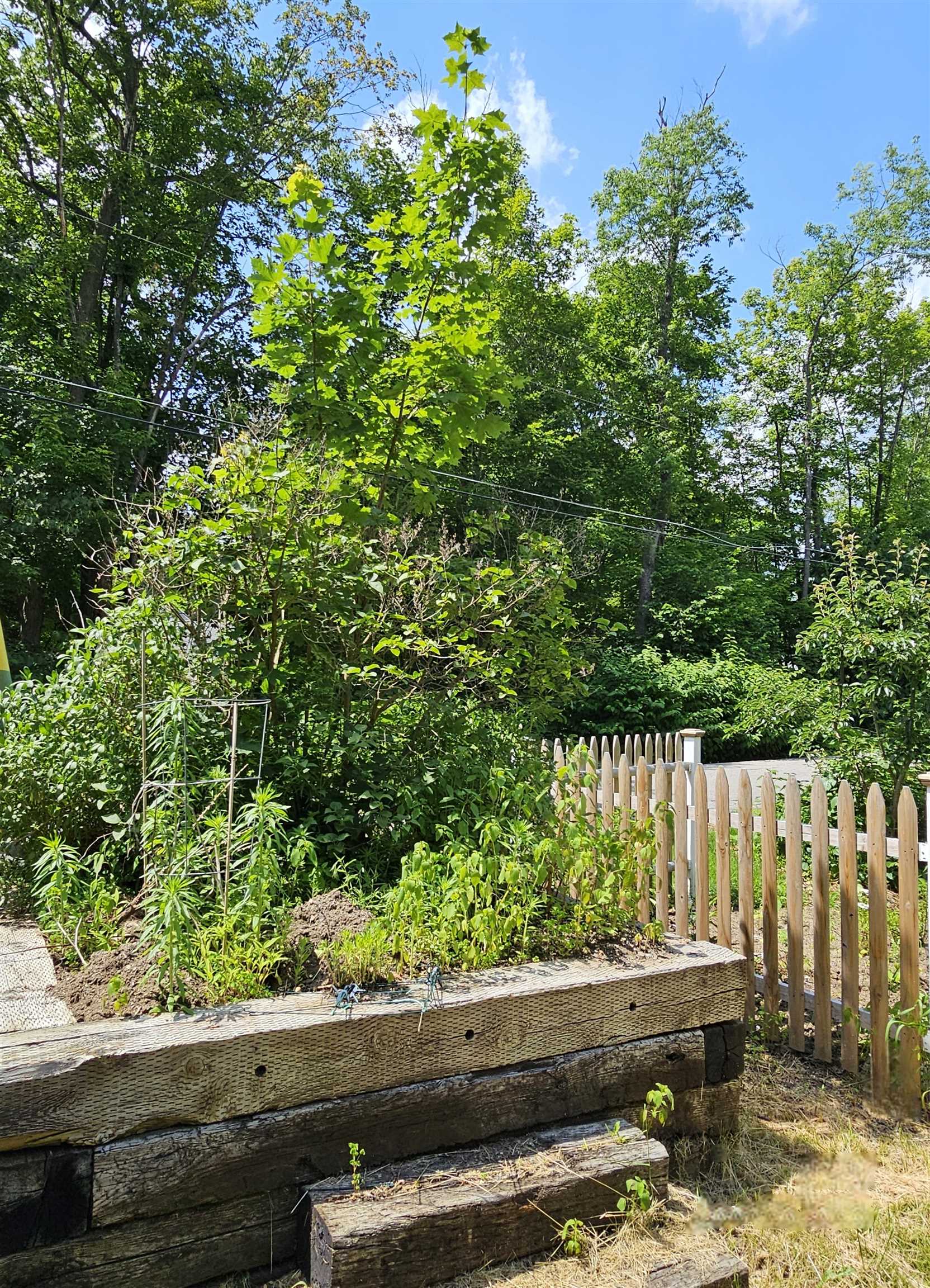 42 Upper Knight Street Keene, NH 03431 - Photo 23 of 32