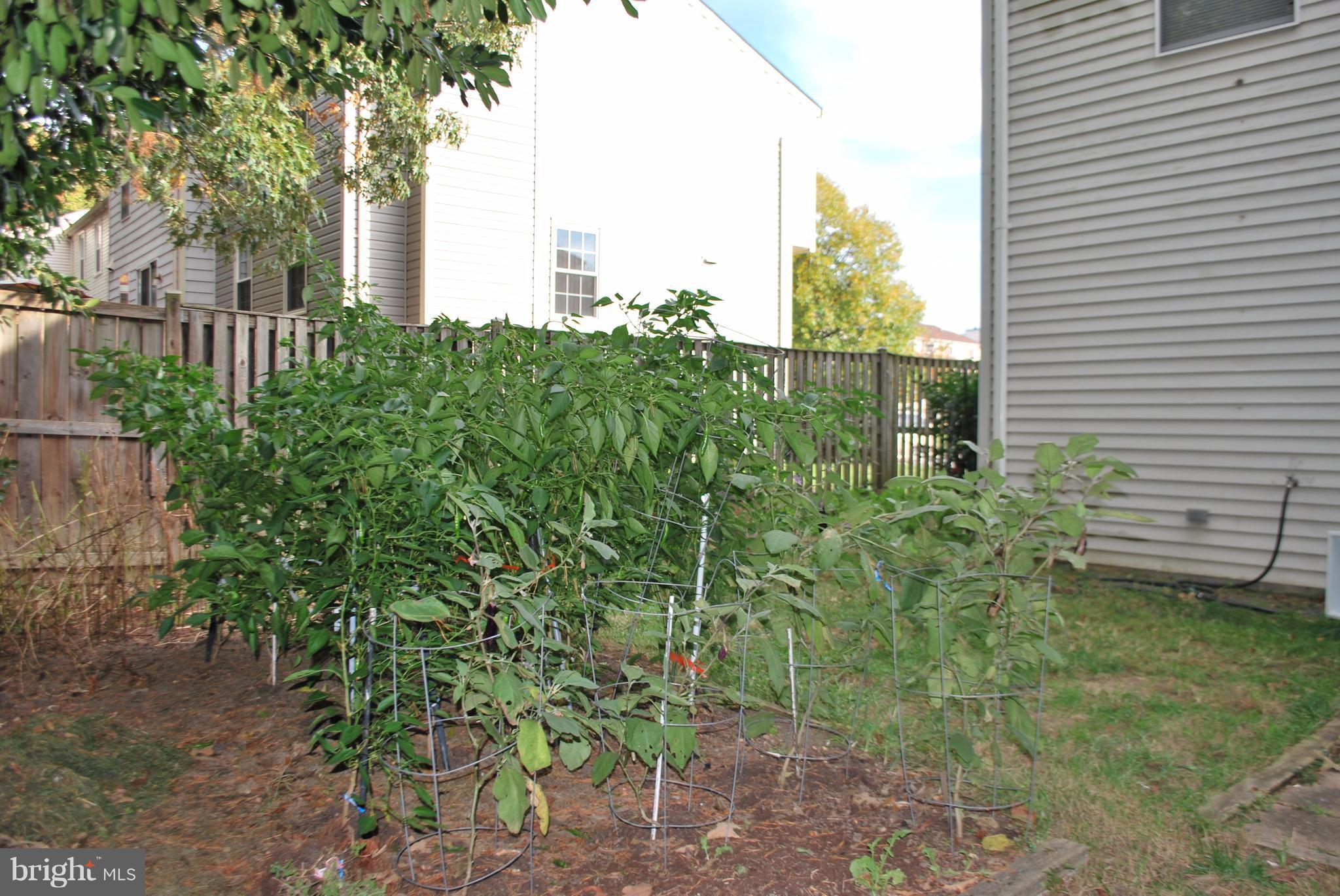 6900 Villa-Del-Rey Court Springfield, VA 22150 - Photo 14 of 29 a view of a garden with a house