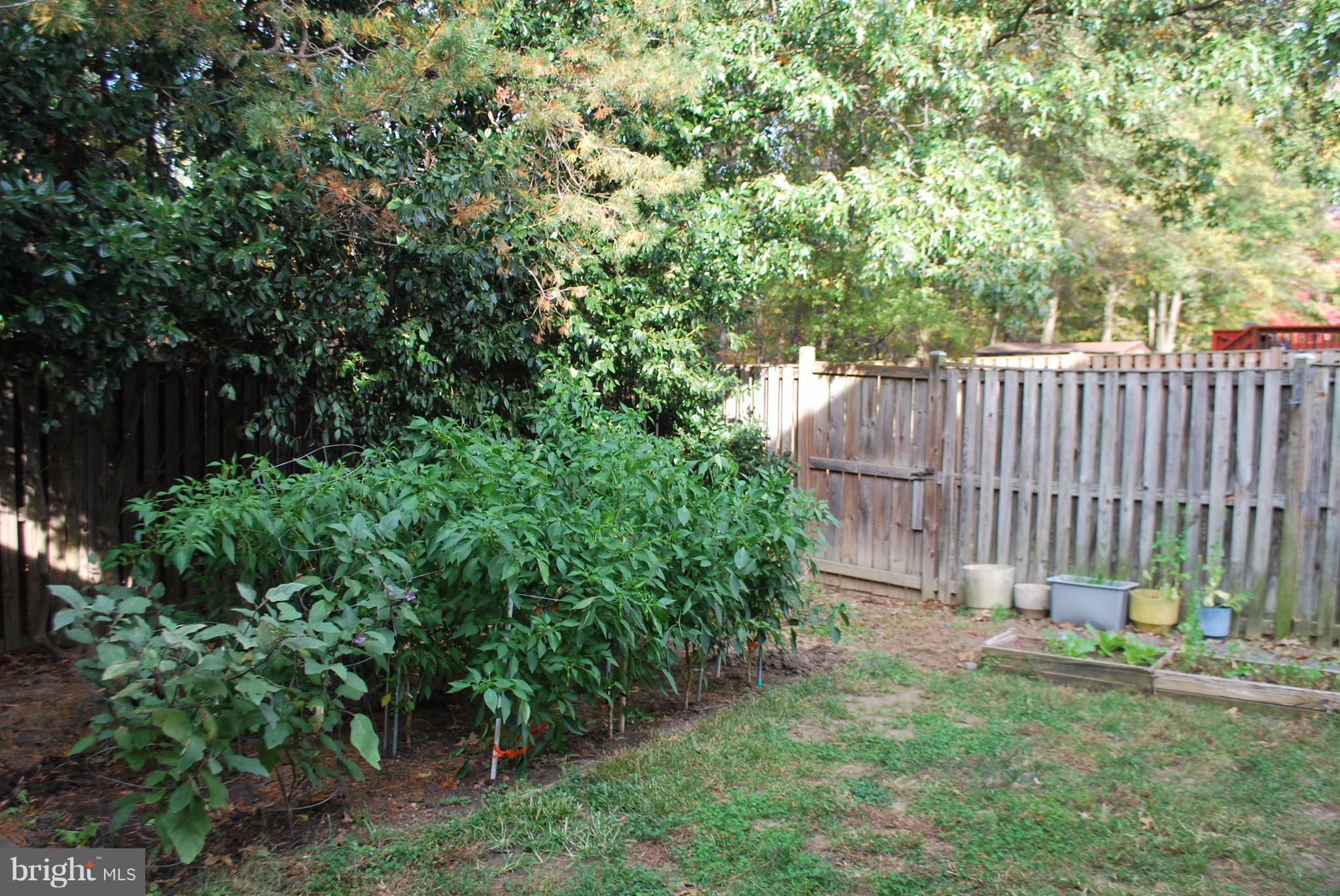 6900 Villa-Del-Rey Court Springfield, VA 22150 - Photo 15 of 29 a garden with trees in front of it