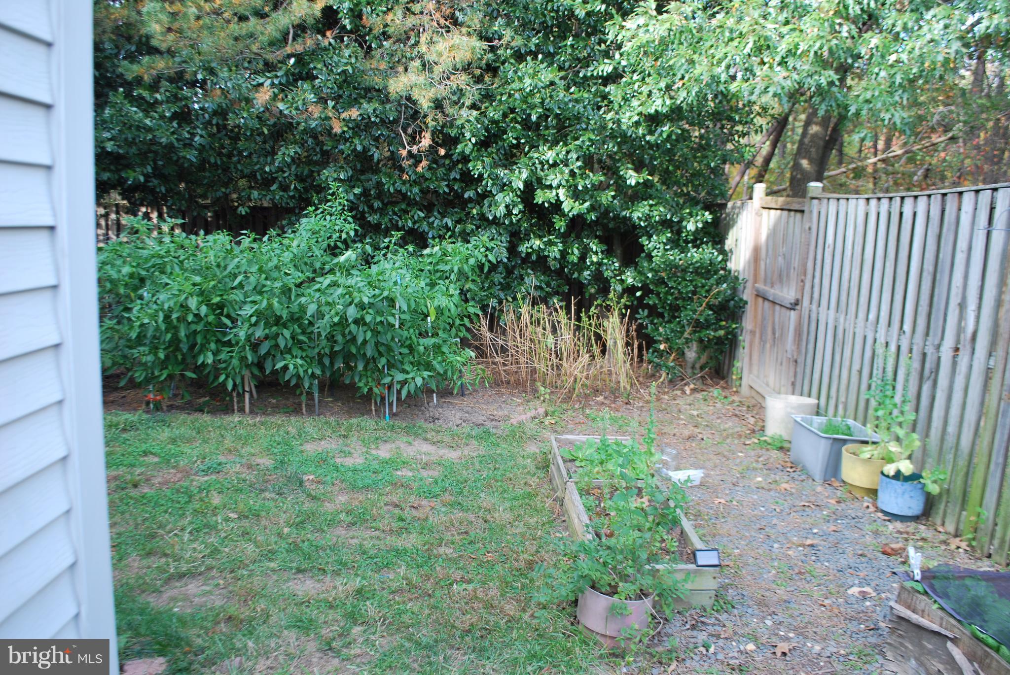6900 Villa-Del-Rey Court Springfield, VA 22150 - Photo 17 of 29 a view of backyard with green space