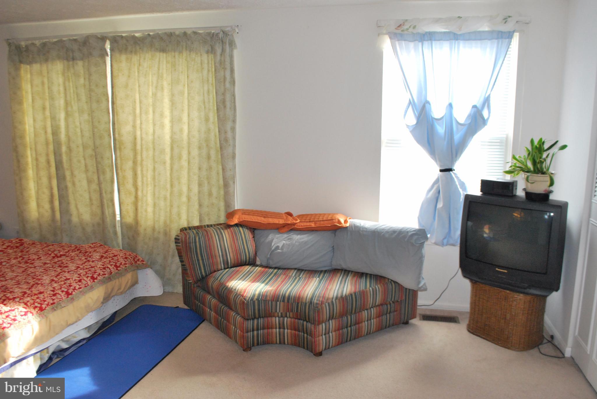 6900 Villa-Del-Rey Court Springfield, VA 22150 - Photo 10 of 29 a living room with a couch and a potted plant