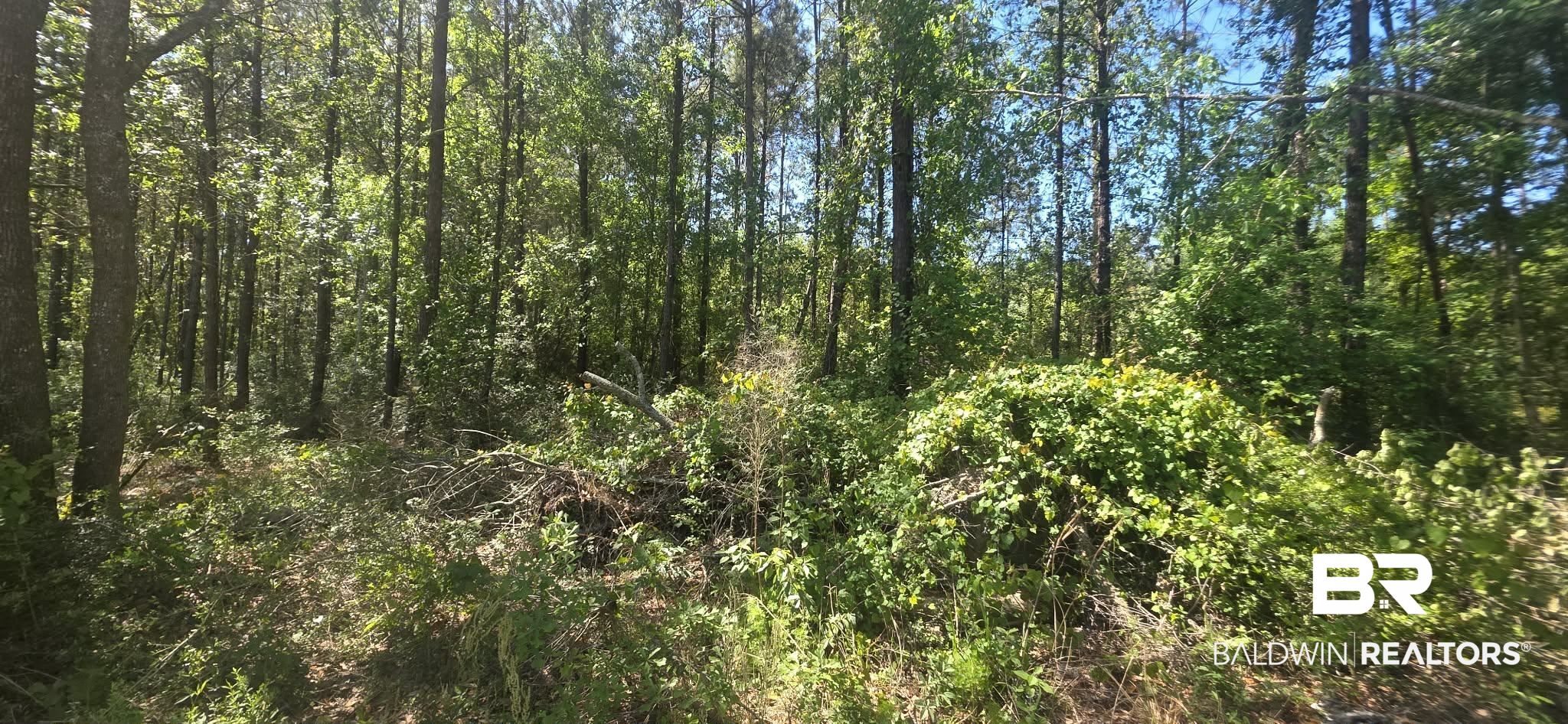 0 Gardner Road Elberta, AL 36530 - Photo 9 of 9