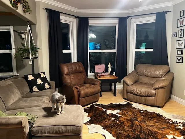 a living room with furniture and a potted plant