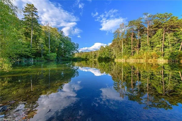 $1,490,000 | 9664 Lissara Camp Court, Lewisville, NC 27023