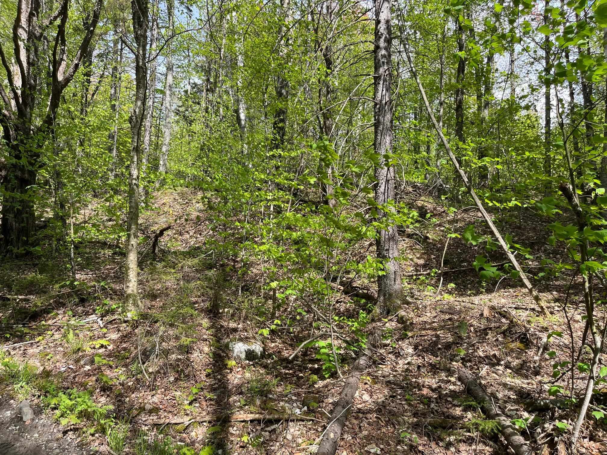 0 Willow Road Bakersfield, VT 05441 - Photo 11 of 12