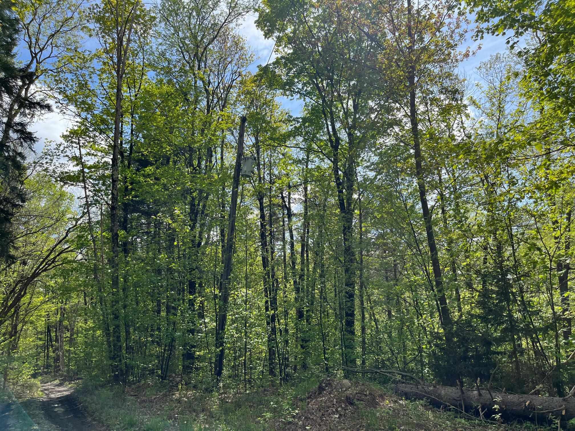 0 Willow Road Bakersfield, VT 05441 - Photo 12 of 12