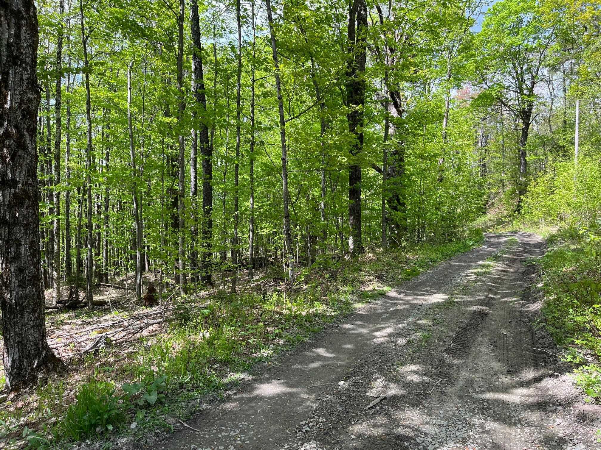 0 Willow Road Bakersfield, VT 05441 - Photo 4 of 12