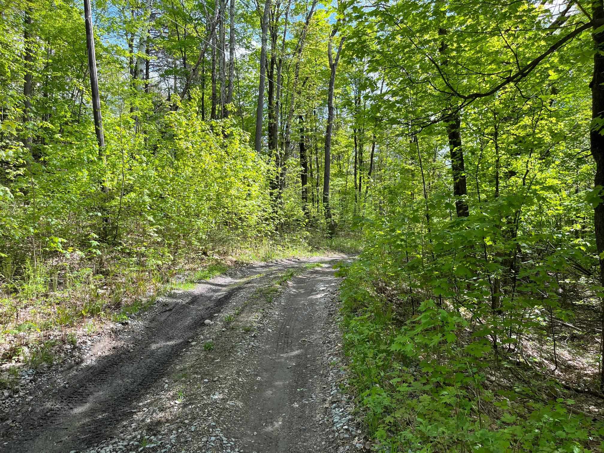 0 Willow Road Bakersfield, VT 05441 - Photo 5 of 12