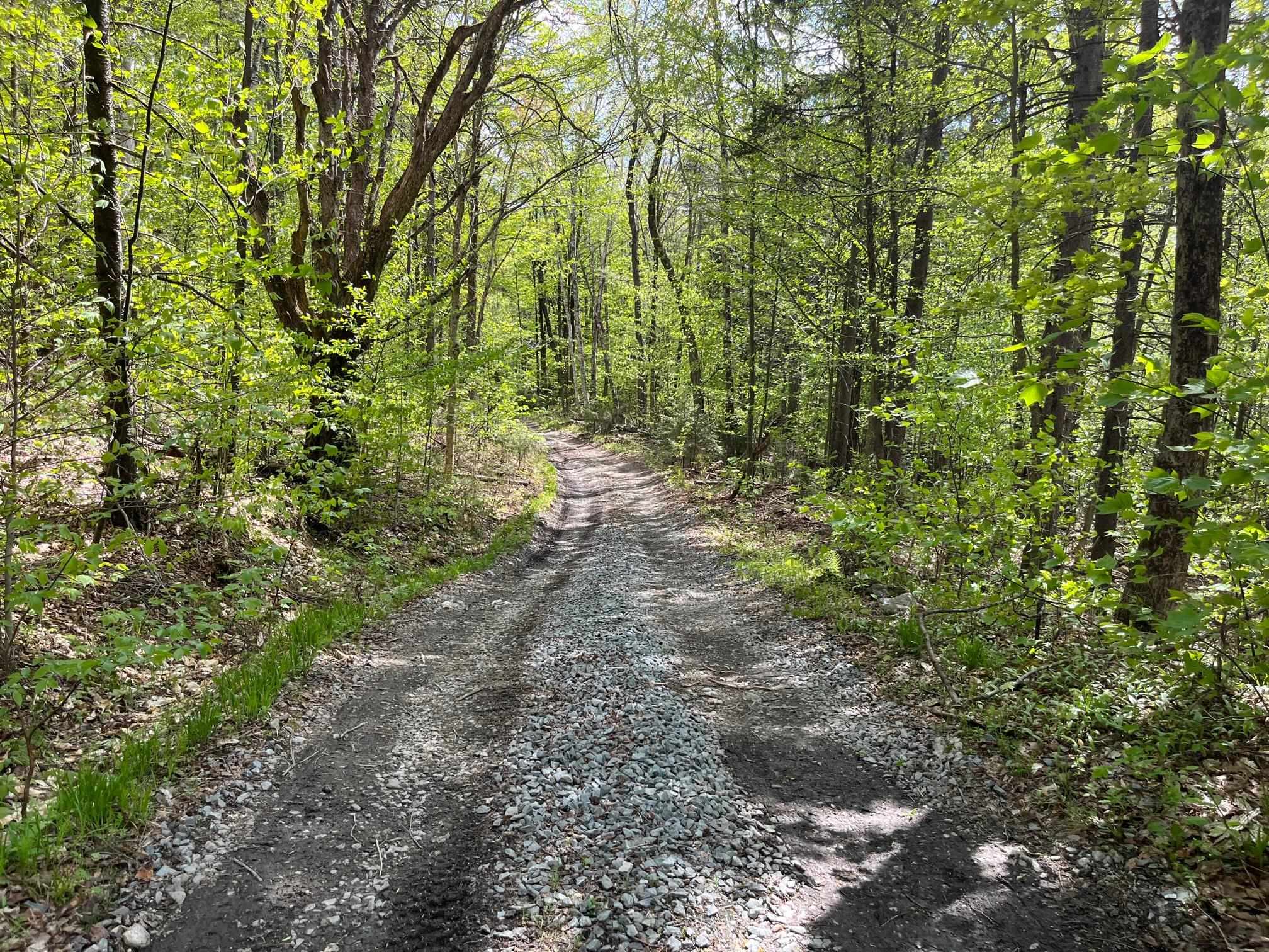 0 Willow Road Bakersfield, VT 05441 - Photo 6 of 12