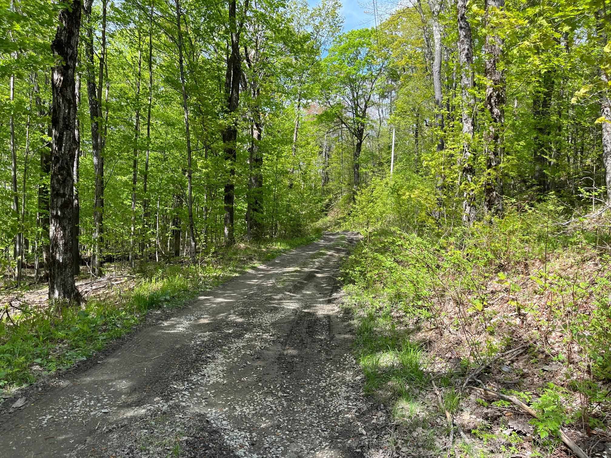 0 Willow Road Bakersfield, VT 05441 - Photo 7 of 12