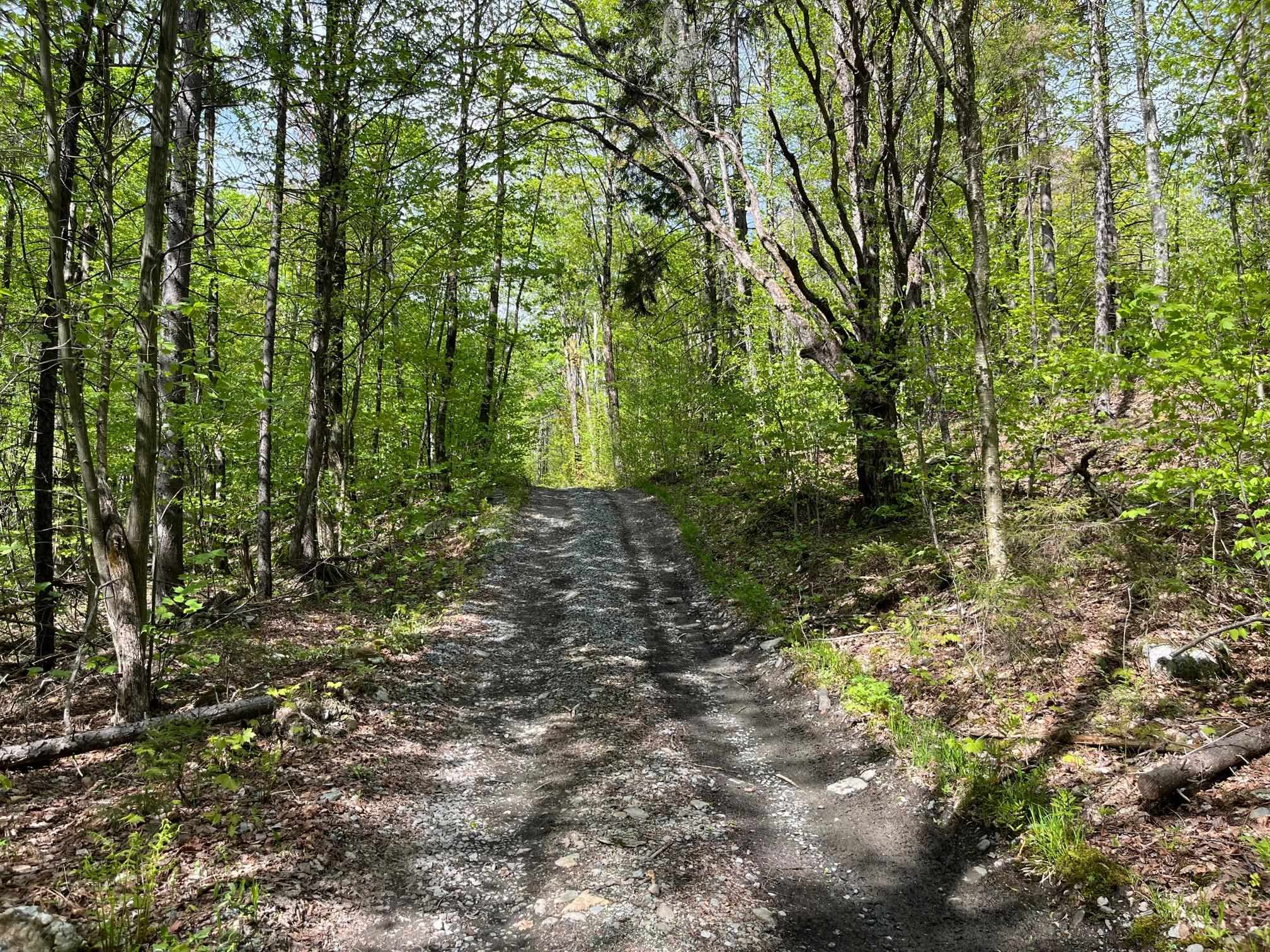 0 Willow Road Bakersfield, VT 05441 - Photo 8 of 12