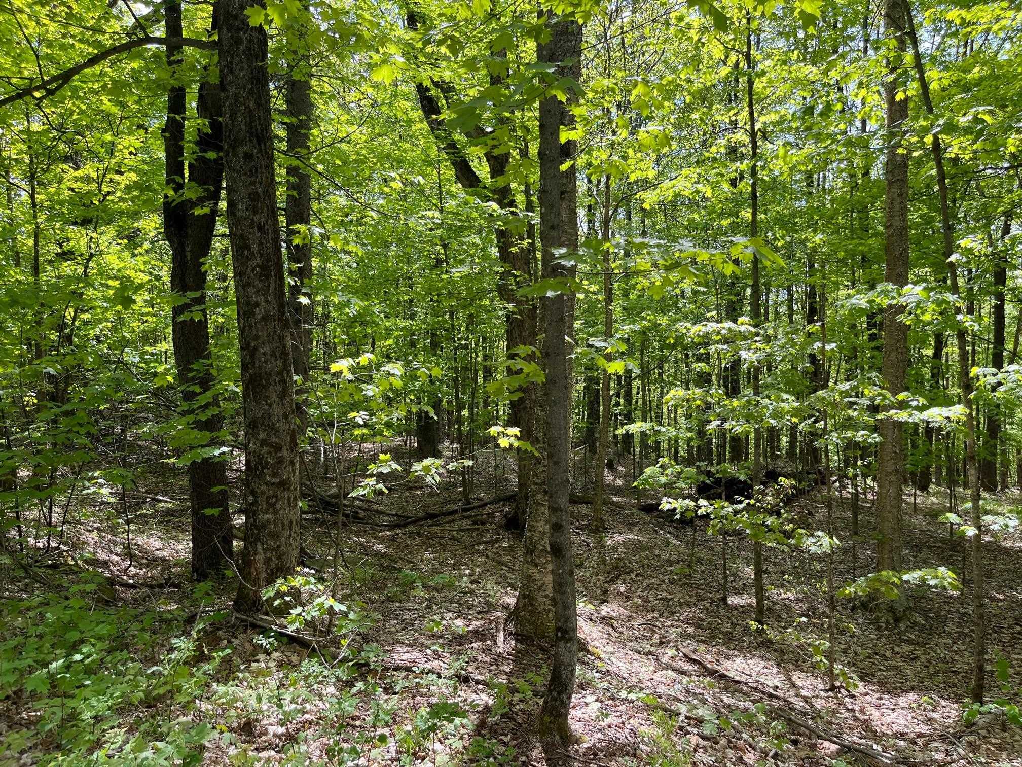 0 Willow Road Bakersfield, VT 05441 - Photo 9 of 12