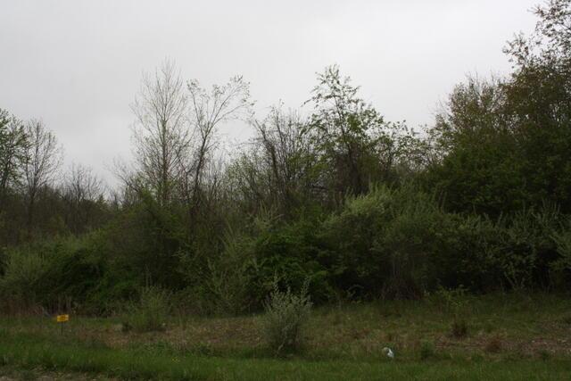 0 Peters Road Ashley, OH 43003 - Photo 4 of 7 4