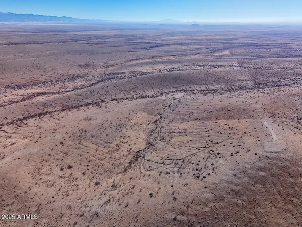 a view of a dry yard with wooden floor