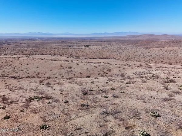 a view of yard with wooden floor
