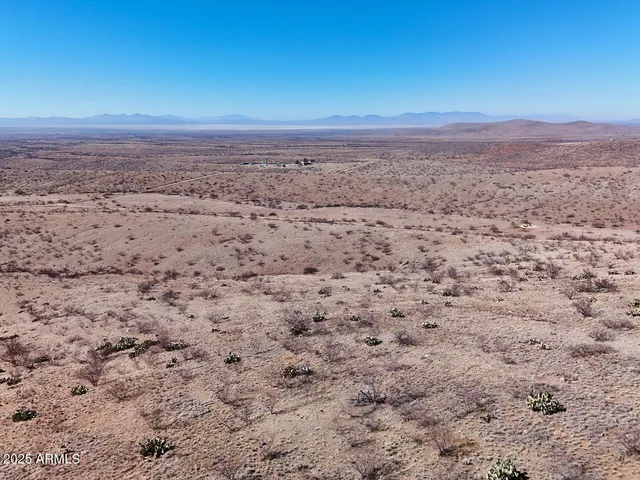a view of yard with wooden floor