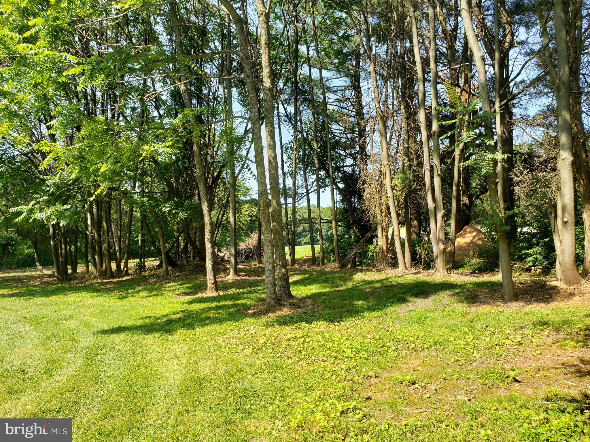 427 West Street Road Kennett Square, PA 19348 - Photo 6 of 12 View to Rear