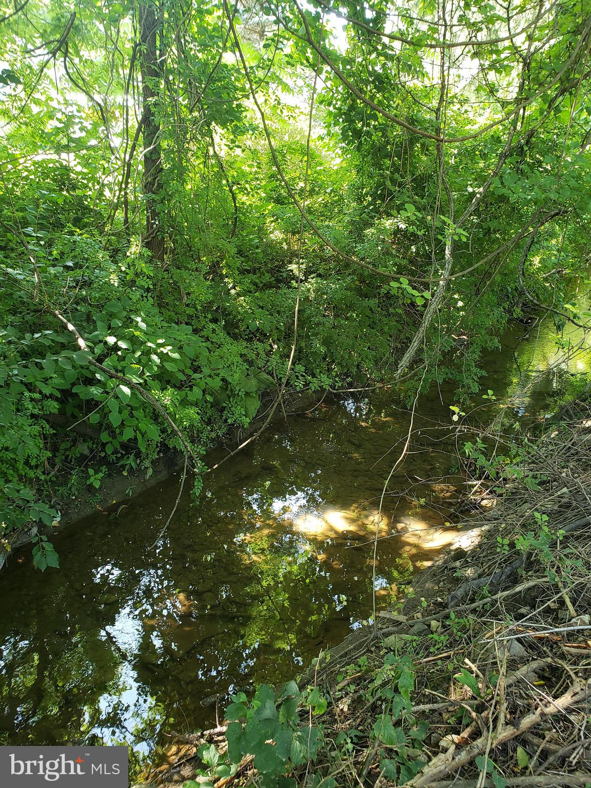 427 West Street Road Kennett Square, PA 19348 - Photo 10 of 12 Adjacent Stream