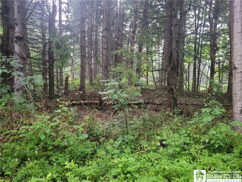 0 Wade Hill Road Gerry, NY 14740 - Photo 8 of 13 Gallery Image 8