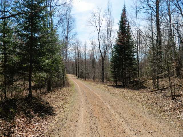 W3140 Blockhouse Lake Road Park Falls, WI 54552 - Photo 20 of 20 Gallery Image 20