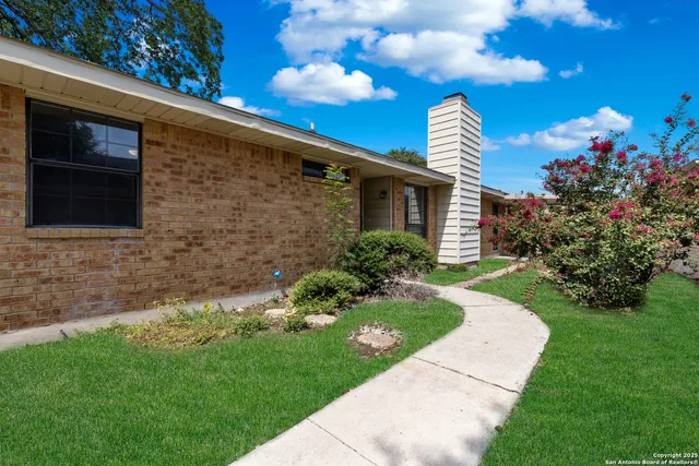 a view of a backyard with potted plants