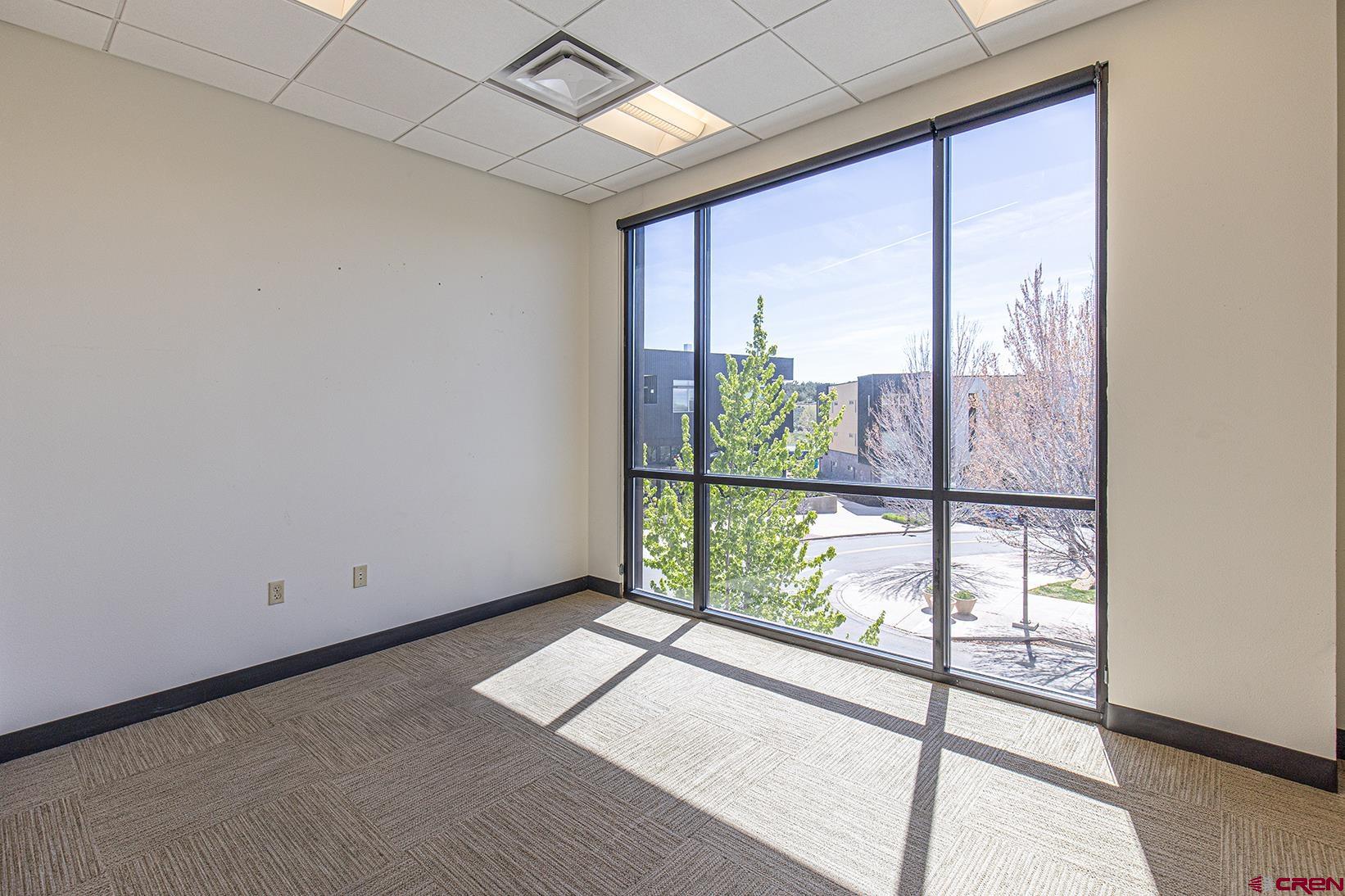 175 Mercado Street, Unit 260 Durango, CO 81301 - Photo 4 of 43