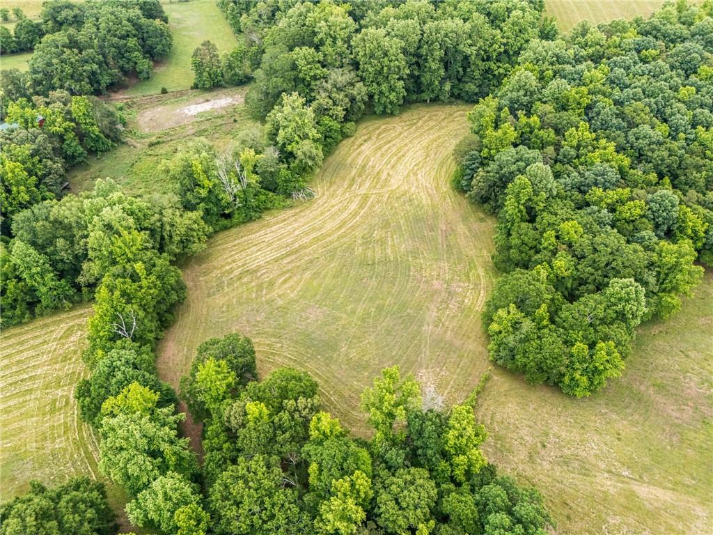 801 Buford Carey Road Hull, GA 30646 - Photo 65 of 68