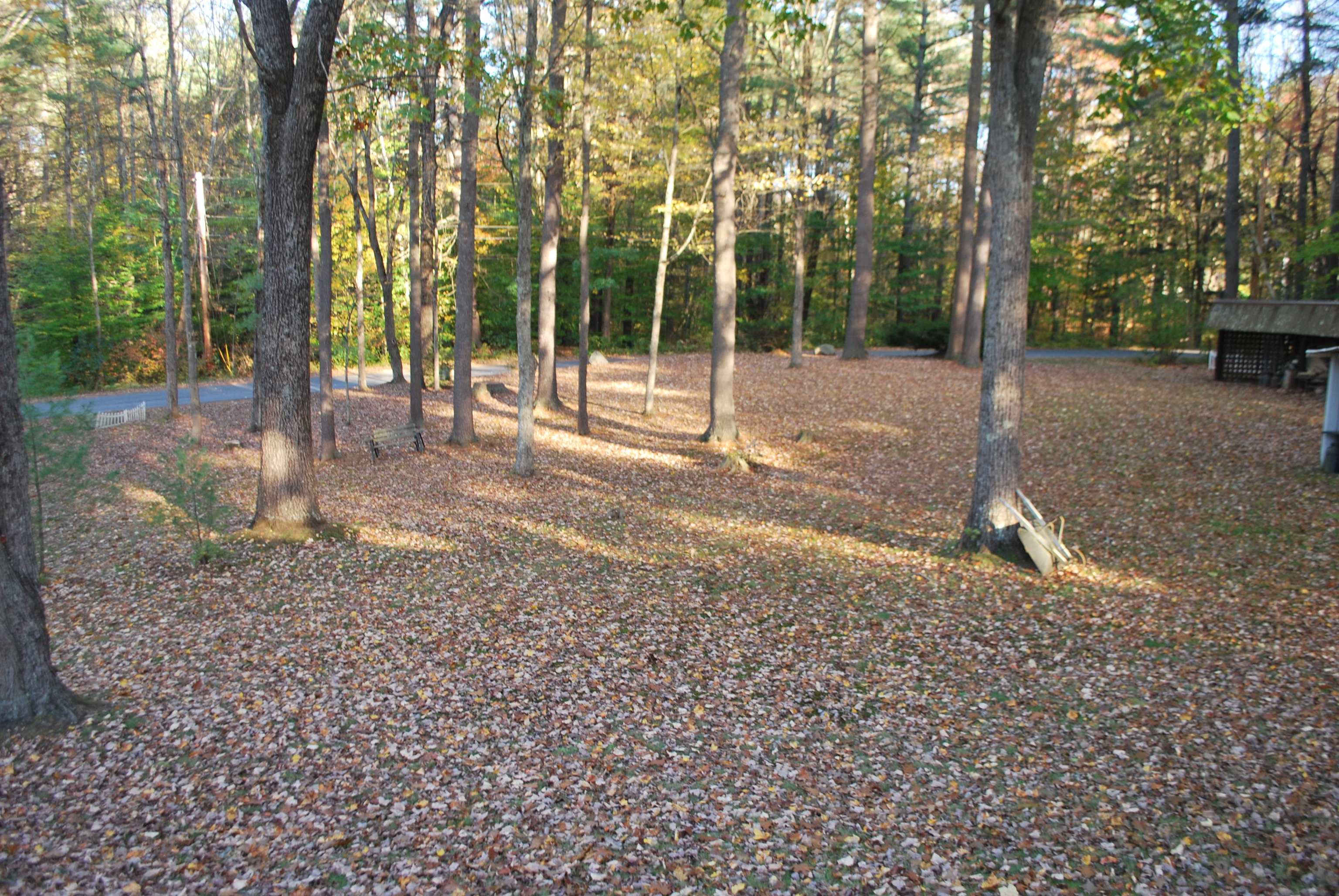 286 Ceda Road Charlestown, NH 03603 - Photo 11 of 30 Gallery Image 11