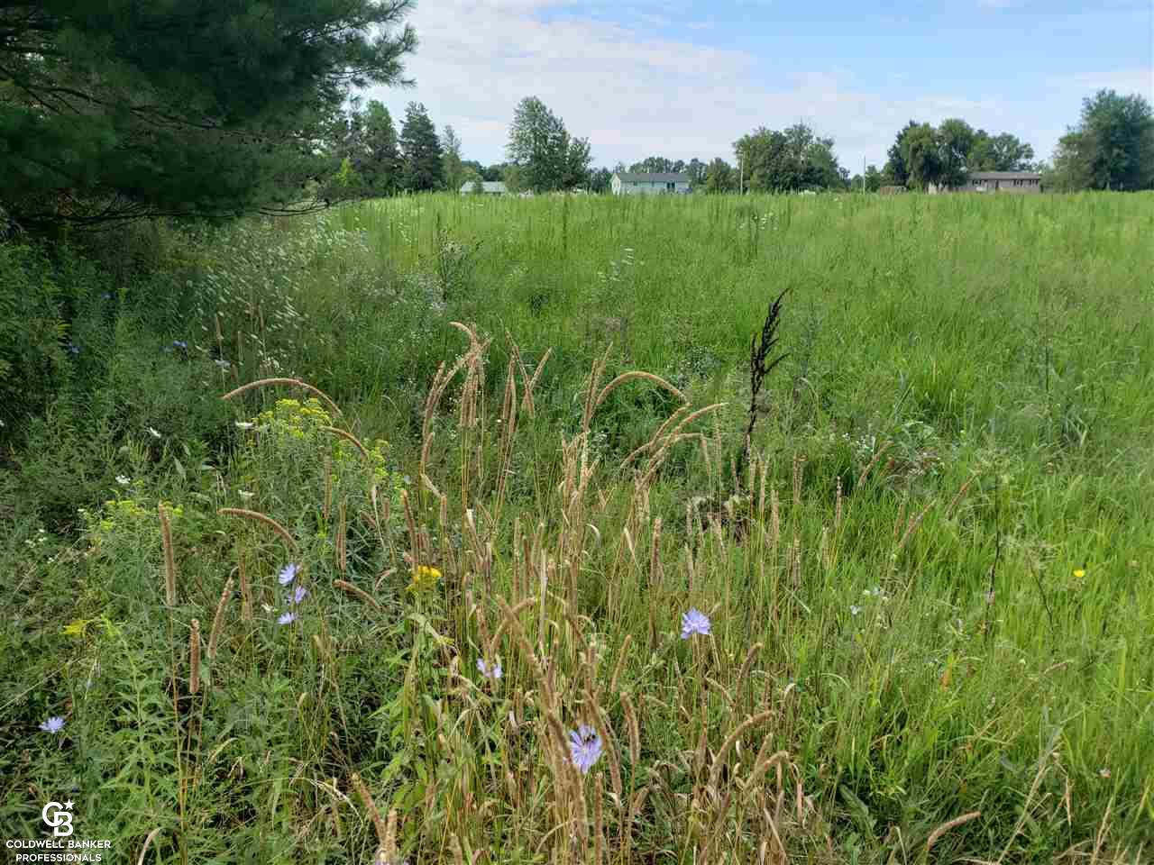 Gleason Rd Ville Emmett, MI 48022 - Photo 5 of 12