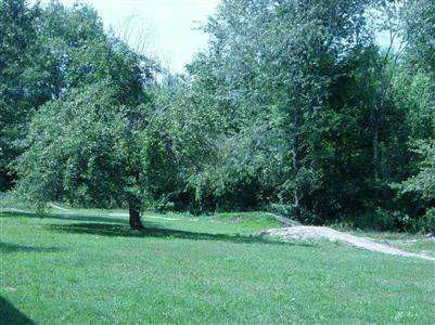 1388 East Cook Road Grand Blanc, MI 48439 - Photo 6 of 8 20238403-5.JPG