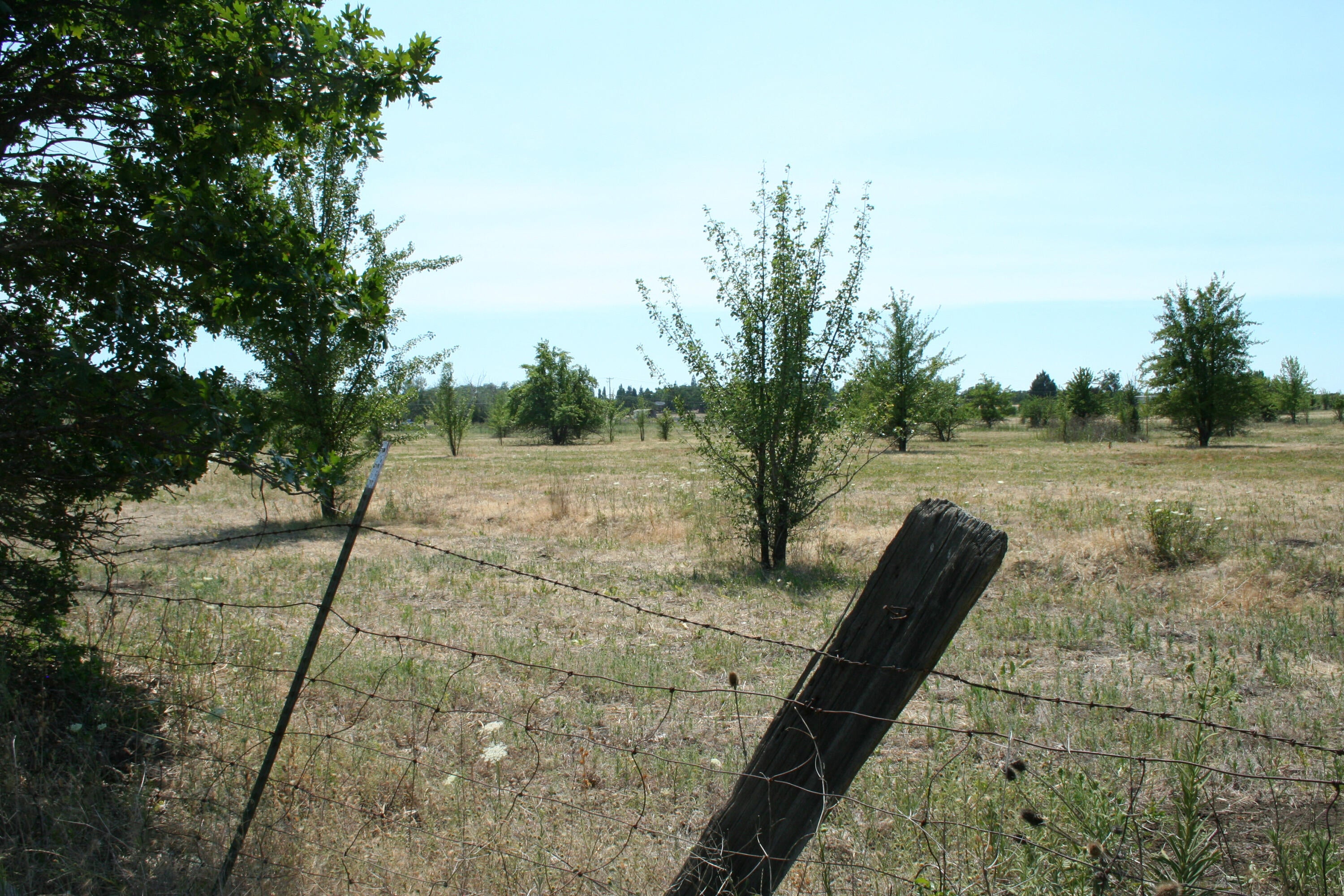 section of property
