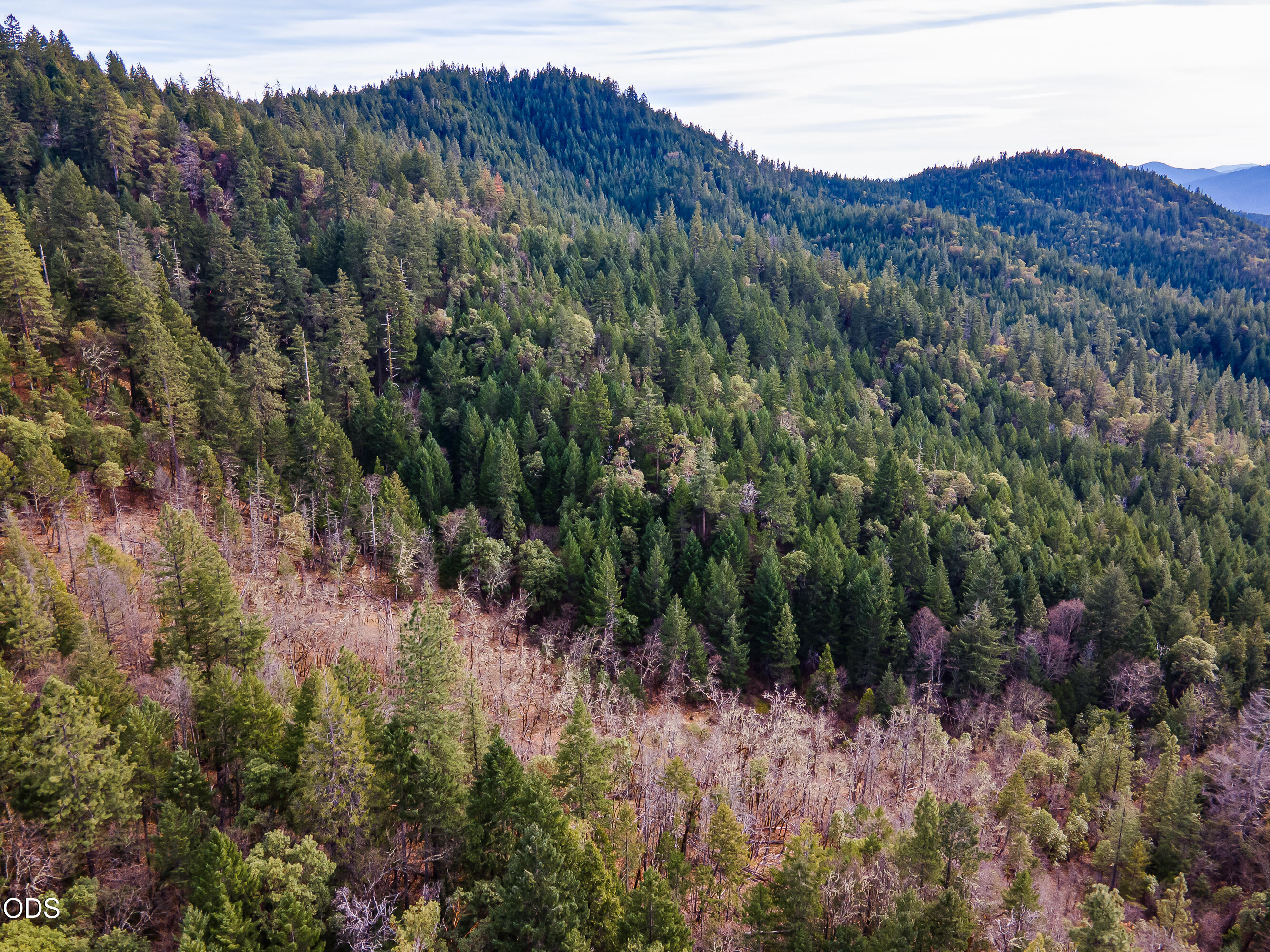Pleasant Cr Road Rogue River, OR 97537 - Photo 24 of 42