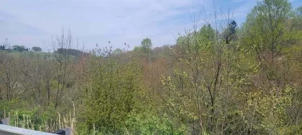 a view of a city with lush green forest