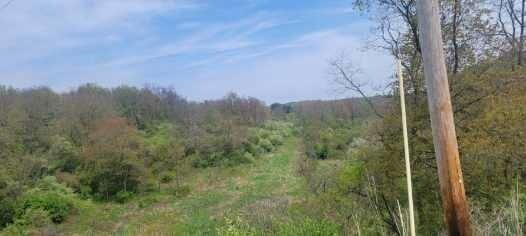 138 Beaver Run Road Apollo, PA 15613 - Photo 3 of 3 a view of a field
