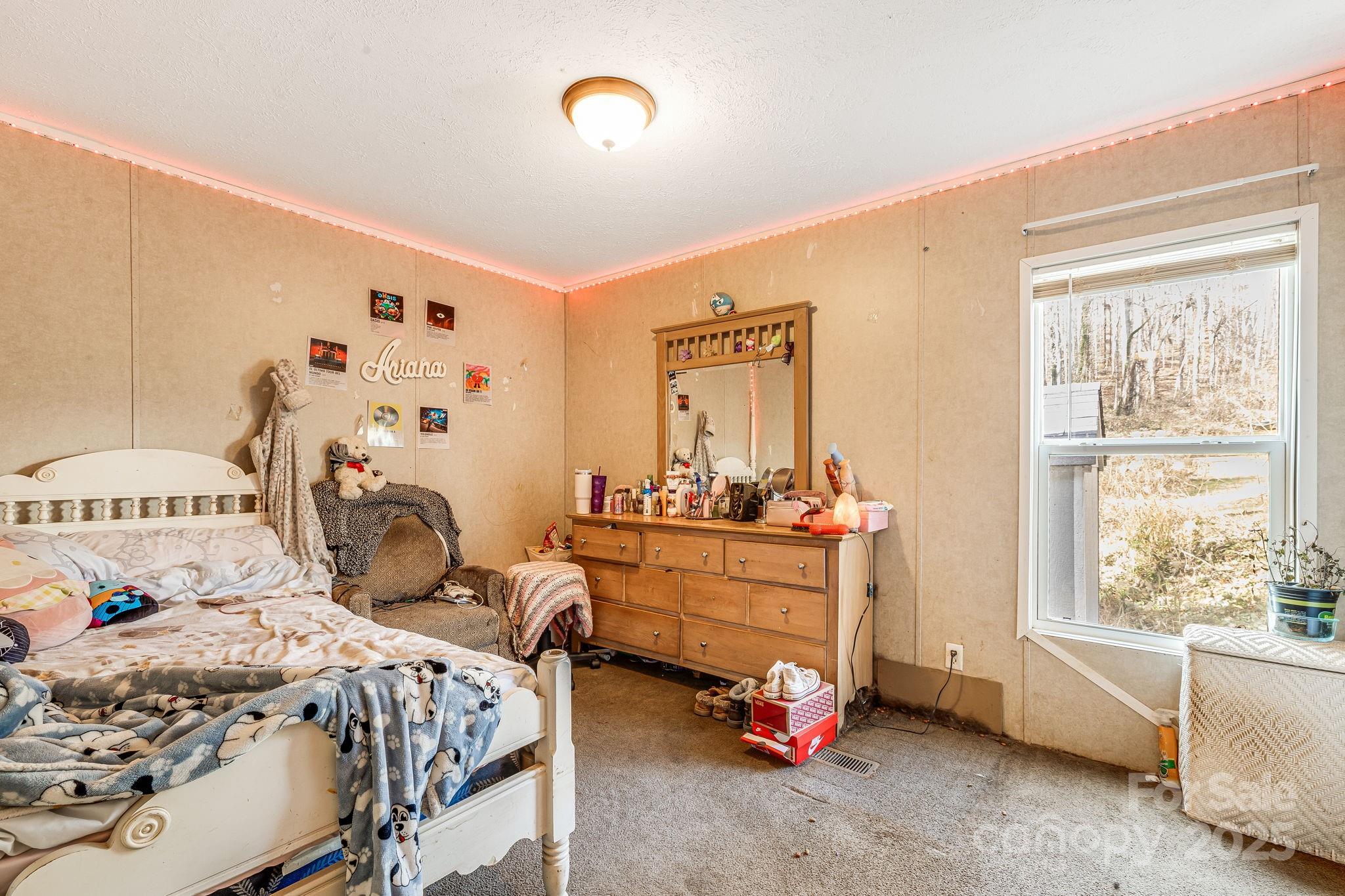 55 Harris Ridge Road Candler, NC 28715 - Photo 9 of 15