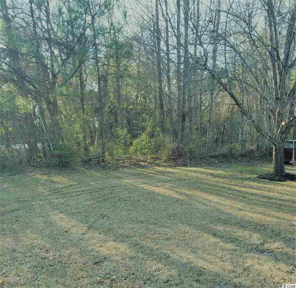 136 Butler Road Marion, SC 29571 - Photo 3 of 17 Gallery Image 3