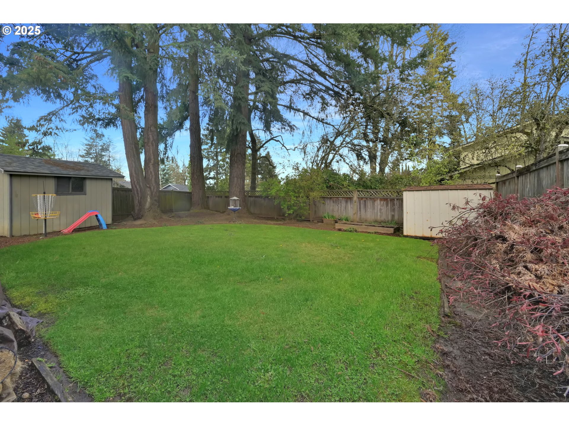 2480 Chuckanut Street Eugene, OR 97408 - Photo 36 of 44 a view of a backyard with large trees