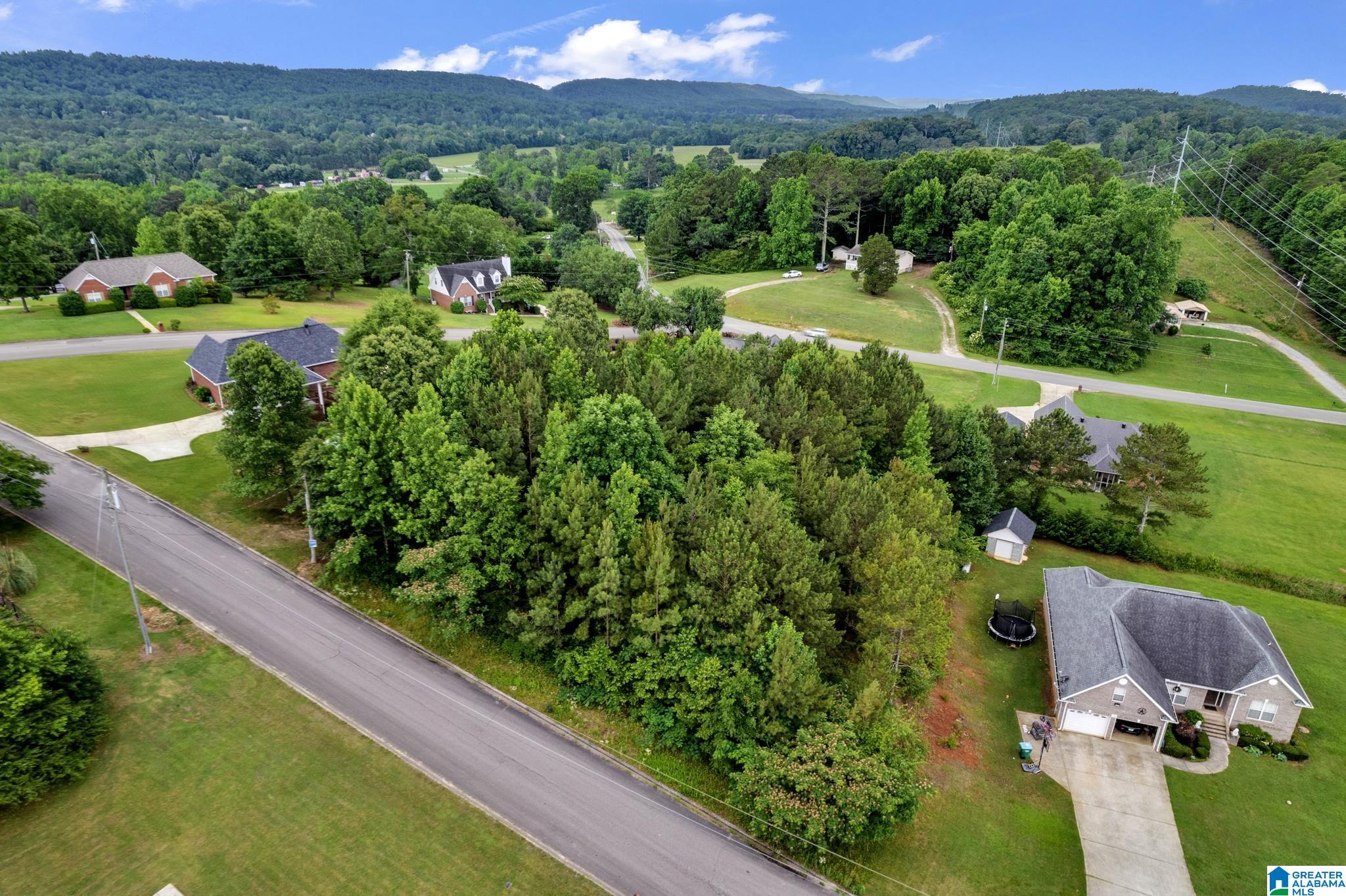 0 Valley View Lane, Unit 1 Oneonta, AL 35121 - Photo 2 of 13