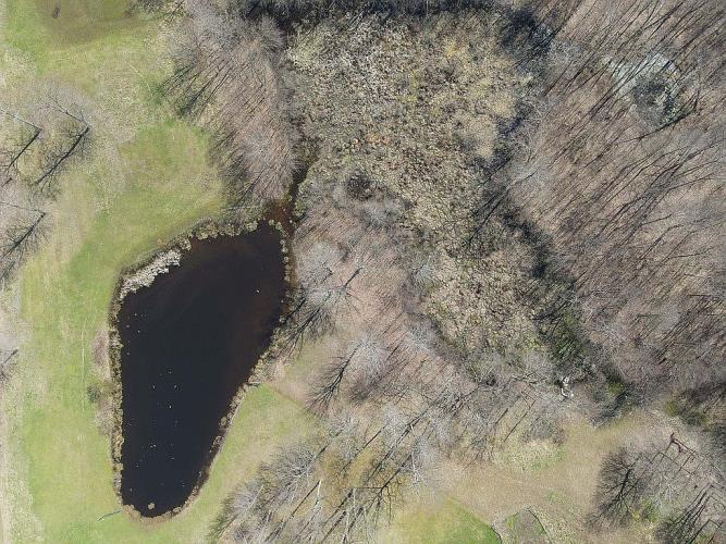 2687 Raymilton Road Utica, PA 16362 - Photo 7 of 41