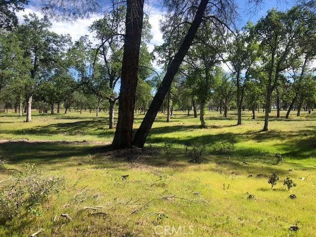 a view of a park with lots of trees