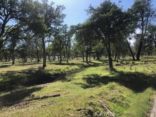 a view of outdoor space with trees